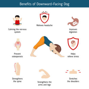 Benefits of  Downward Dog for Experienced Yogis